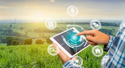 Innovation technology for smart farm system, Agriculture management, Hand holding smartphone with smart technology concept. asian male farmer working in Sugarcane farm To collect data to study.
